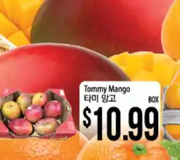 Hmart Tommy Mango offer