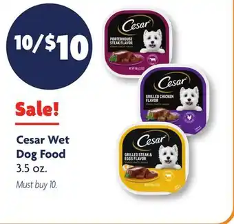Family Dollar Cesar Wet Dog Food offer