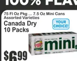 Key Food Canada Dry offer