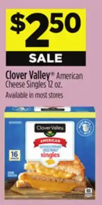 Dollar General Clover Valley American Cheese Singles offer