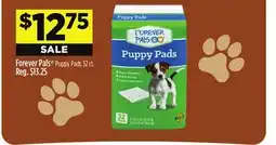 Dollar General Forever Pals Puppy Pads offer