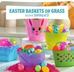 Dollar General EASTER BASKETS OR GRASS offer