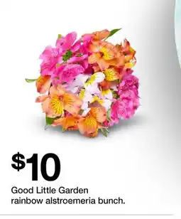 Target Good Little Garden rainbow alstroemeria bunch offer