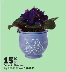 Meijer Ceramic Planters offer