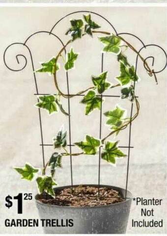 Dollar Tree Garden Trellis offer