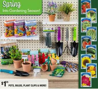 Dollar Tree Pots, Bulbs, Plant Clips & More offer