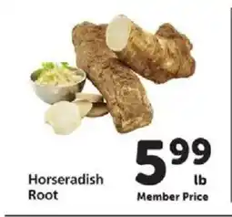 Safeway Horseradish Root offer