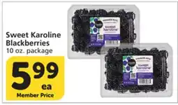 Albertsons Sweet Karoline Blackberries offer