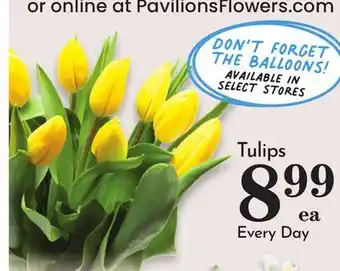 Pavilions Tulips offer