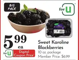 Pavilions Sweet Karoline Blackberries offer