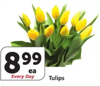 Vons Tulips offer