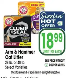 Jewel-Osco Arm & Hammer Cat Litter offer