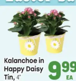 Tony’s Fresh Market Kalanchoe in Happy Daisy Tin offer