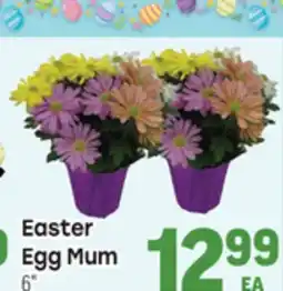 Tony’s Fresh Market Easter Egg Mum offer