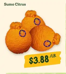 Sprouts Farmers Market Sumo Citrus offer