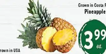 Rio Valley Market Pineapple offer