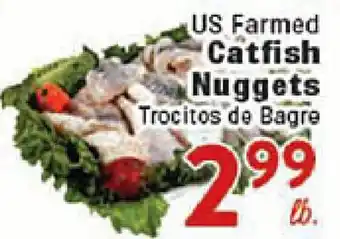 Rio Valley Market US Farm Catfish Nuggets offer