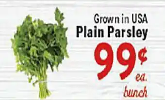Rio Valley Market Grown in USA Plain Parsley offer