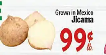 Rio Valley Market Jicama offer