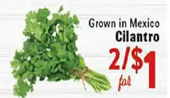 Rio Valley Market Cilantro offer