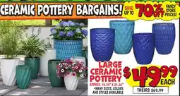 Ollie's LARGE CERAMIC POTTERY offer
