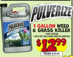 Ollie's 1 GALLON WEED & GRASS KILLER offer