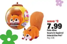 Meijer Pets Alive Scurry'n Squirrel Interactive Pet offer