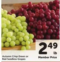 Safeway Autumn Crisp Green or Red Seedless Grapes offer