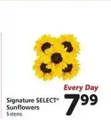 Safeway Signature SELECT Sunflowers offer