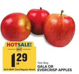 Food Lion Gala or Evercrisp Apples offer