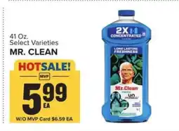 Food Lion Mr. Clean offer