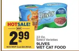 Food Lion 9Lives Wet Cat Food offer