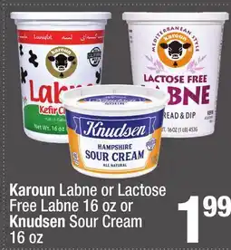 Super King Markets Karoun Labne or Lactose Free Labne 16 oz or Knudsen Sour Cream 16 oz offer