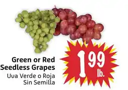 Foodmaxx Green or Red Seedless Grapes offer