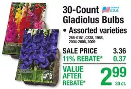 Menards 30-Count Gladiolus Bulbs offer