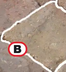 Menards Medium Paver TU,BLED BELGIAN offer