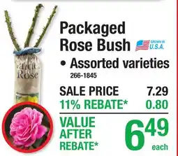 Menards Packaged Rose Bush offer