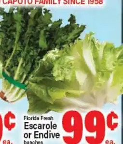 Angelo Caputo's Fresh Market Florida Fresh Escarole or Endive offer