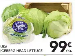 Pete's Fresh Market USA ICEBERG HEAD LETTUCE offer