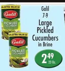 Garden Fresh Market Galil Large Pickled Cucumbers in Brine offer