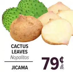 Cermak Fresh Market CACTUS LEAVES JICAMA offer