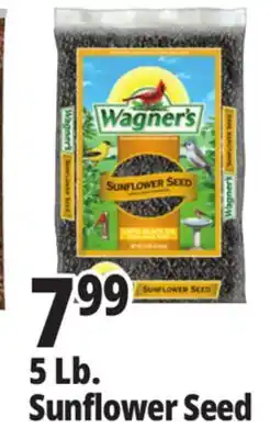 Ocean State Job Lot Wagner's Black Oil Sunflower Seed Wild Bird Food 5 lbs offer