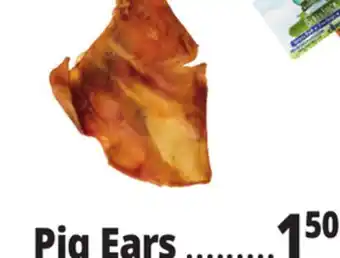 Ocean State Job Lot Pig Ears offer