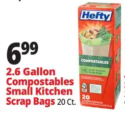 Ocean State Job Lot Hefty Compostable Small Kitchen Scrap Bags 20 Count offer