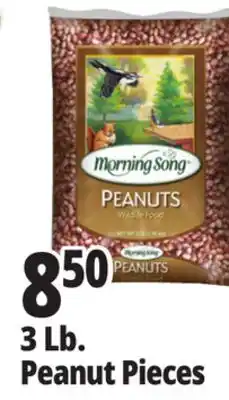 Ocean State Job Lot 3 Lb. Peanut Pieces offer