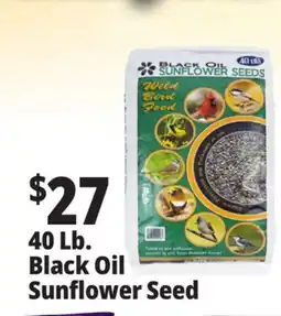 Ocean State Job Lot Black Oil Sunflower Seeds 40 lbs offer