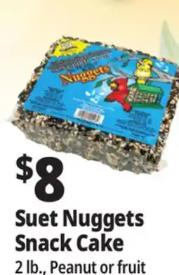 Ocean State Job Lot C&S Songbird Snak with Peanut Suet Nuggets 32 oz offer