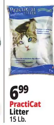Ocean State Job Lot Premium Scoopable Cat Litter 15 lbs offer