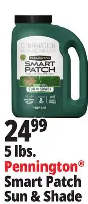 Ocean State Job Lot Pennington Smart Patch Grass Seed Fertilizer Mulch 5 lbs offer
