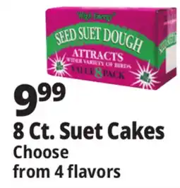 Ocean State Job Lot 8 Ct. Suet Cakes offer